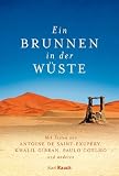 Produkt-Bild: Ein Brunnen in der W&uuml;ste: Mit Texten von Antoine de Saint-Exup&eacute;ry, Khalil Gibran, Paulo Coelho und anderen