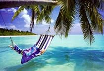 Tropical Beach (Hammock Under Tree) Art Poster Print - 24x36