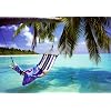 Tropical Beach Poster Print, 36x24 Collections Poster Print, 36x24