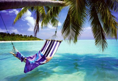 Tropical Beach Poster Print, 36x24