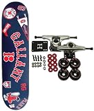 Plan B SKATEBOARDS Ryan Gallant SOCKIT Complete 7.63