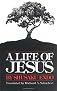 A Life of Jesus