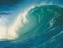 Quest for Noah's Flood