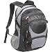 Sumdex Computer Backpack