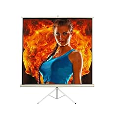 TSGPS PROFI Stativleinwand - 1,78 m x 1,78 m (251 cm Diagonale) - alle Formaten einstellbar - HDTV und Full HD geeignet