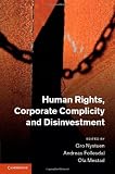 Human rights, corporate complicity and disinvestment