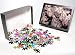 Photo Jigsaw Puzzle of Tulips from Danita Delimont
