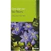 Gros plan sur les fleurs