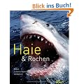 Haie & Rochen
