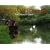 Northamptonshire: The County in Colour (County Portrait)