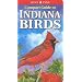 Compact Guide to Indiana Birds (Compact Guide to...) (Lone Pine Guide)