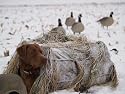 GHG Ground Force Hunting Dog Blind Snow Cover