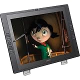 Wacom DTK2100 21-Inch Pen Display - Graphics Monitor with Digital Pen
