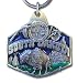 Search : Pewter Key Ring - South Dakota - Pewter Key Ring