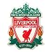 Liverpool FC Official Crested Fridge Magnet