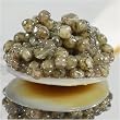 Sevruga "Classic Grey" Caviar - "Malossol"