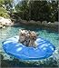 Pet Pool and Deck Lounger Pool Blue (MD 39")