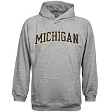 Nike Michigan Wolverines Ash Youth Classic Hoody Sweatshirt