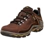 ECCO Women's Dhaka Lo GTX Hiking Shoe,Bison/Bison,39 EU (US Women's 8-8.5 M)