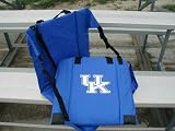 Kentucky UK New Stadium Bleacher Seat Cushion Chair