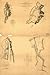 Environs of Vicksburg, Mississippi, 1863 / U.S. Coast Survey, A.D. Bache, supdt. (Civil War Map Reprint measured in inches 24 x 36)