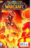  : World of Warcraft #11