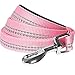 Blueberry Pet 3M Reflective Pastel Color Dog Leash with Soft & Comfortable Handle, 5 ft x 5/8