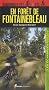 Randonn�es VTT & VTC en for�t de Fontainebleau