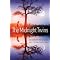 Indulge in YA Urban Fantasy  Part 2