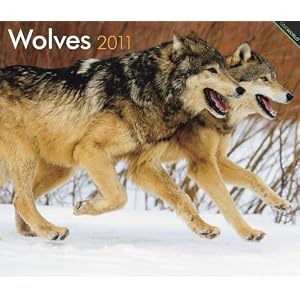 Wolves 2011 Deluxe Wall (One World) by BrownTrout Publishers Inc