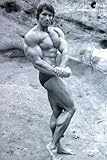 Arnold Schwarzenegger Bodybuilding POSTER Black & White Side View 23.5 X 34 (poster sent from USA in PVC pipe)