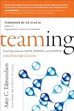 Teaming: How Organizations Learn, Innovate, and Compete in the Knowledge Economy
