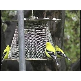 No No Original Bird Feeder with Roof Extension - In Your Choice of Three Colors