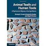 animal teeth and human tools a taphonomic odyssey in ice age siberia