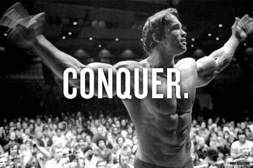 Arnold Schwarzenegge Body Building Nice Silk Fabric Cloth Wall Poster Print (36x24inch)