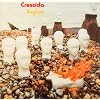 Asylum (Replica Gatefold Sleeve)