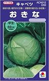 裂球は遅い!　おきな(タキイ交配)　数量:約250粒