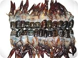 Soft-shell Crawfish 8 X 2 Dozen - 4 Lb Case