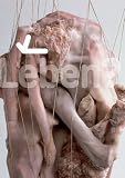 Leben, Life: Biomorphe Formen in der Skulptur