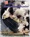 Books : The Hindenburg Disaster (Code Red)