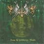 From the Celtiberian Woods