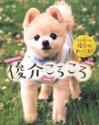 俊介ころころ~ツイッター犬 俊介のまいにち~