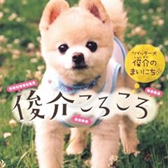 俊介ころころ〜ツイッター犬　俊介のまいにち〜