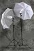 2 X 400 Wt Studio Video Film Continuous Lighting Dk105