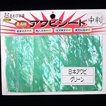 あわび本舗 最高級アワビシート 日本アワビ/グリーン 中判