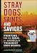 Stray Dogs, Saints, and Saviors: Fighting for the Soul of America's Toughest High School