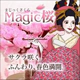 Magic Sakura Artificial Cherry Blossom Gardening Kit