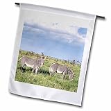 Danita Delimont - Martin Zwick - Zebra - Grevys Zebra is the largest wild equid, endangered, Kenya, Africa. - 12 x 18 inch Garden Flag (fl_189001_1)