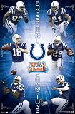 Indianapolis Colts (2007 Superbowl Champions) Sports Poster Print - 24' X 36'