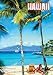Buffalo Games - Hawaiian Getaway - 300 Large Piece Jigsaw Puzzle